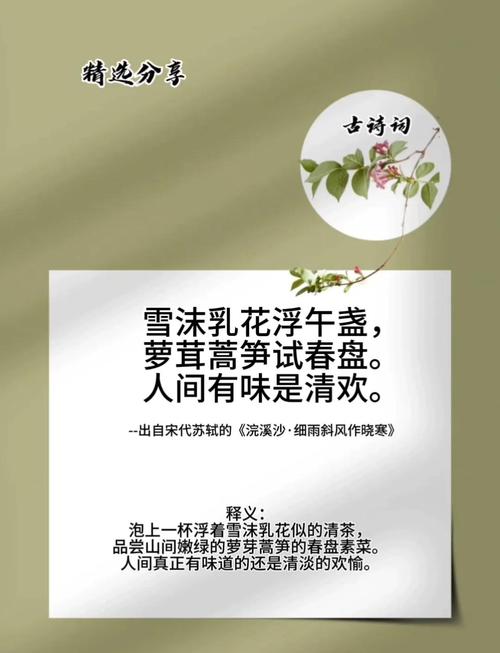 博物东坡·果蔬丨东坡盘中果蔬:人间有味是清欢