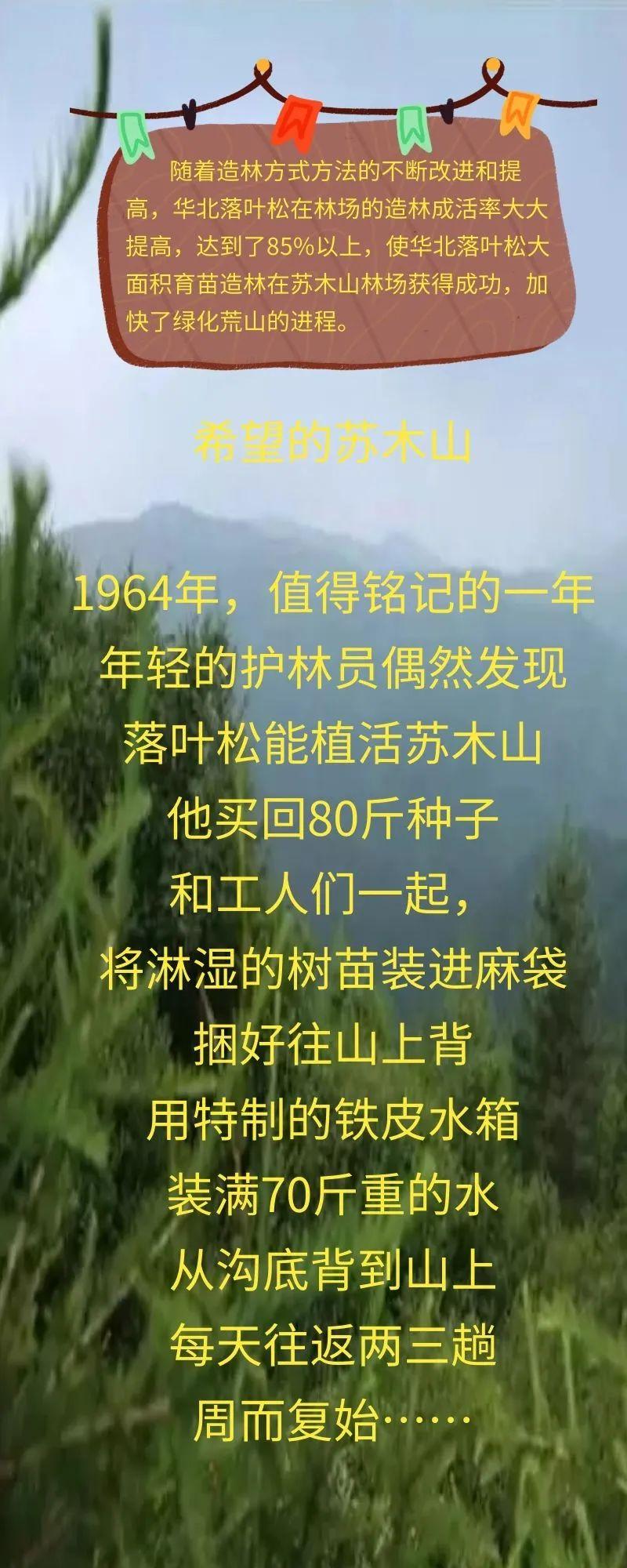 老祖宗级别的树会讲故事 速速来围观这些绿色国宝