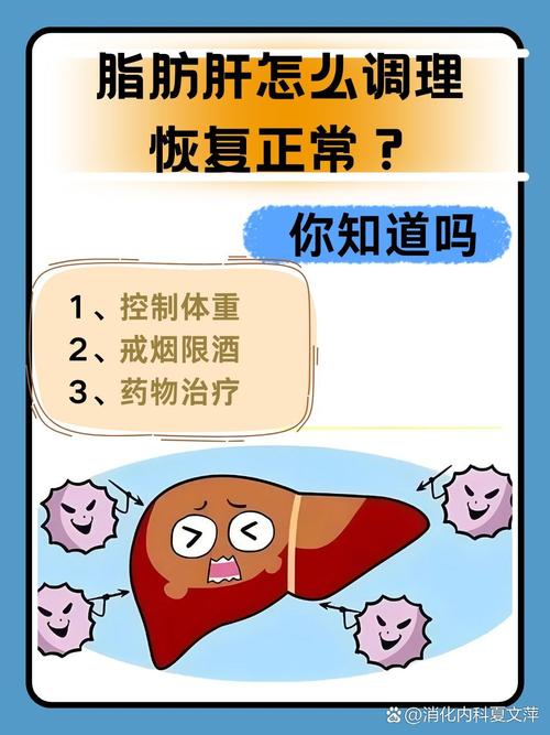 科学认知脂肪肝 远离健康“肝”扰