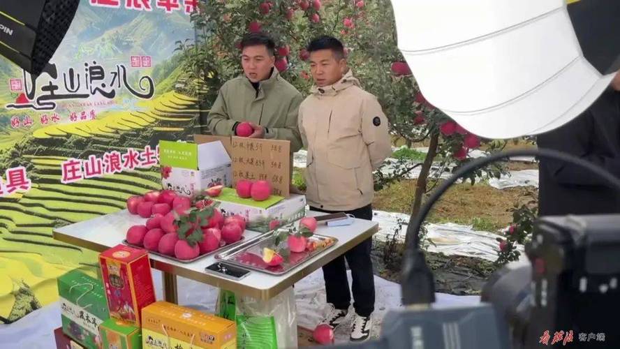 “电管家”护航山西吉县苹果产业发展