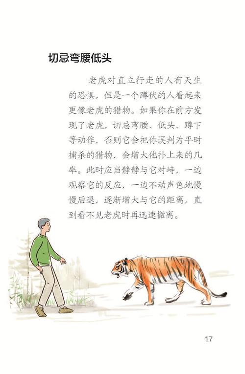 在东北虎豹国家公园碰到老虎怎么办?巡护员演示来了