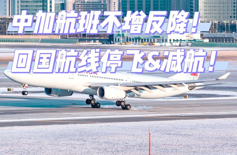 国际航班再添“新翼” 首条中国⇆巴林直飞航线开通