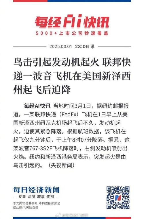 鸟击引起发动机起火 一波音飞机在美国新泽西州起飞后迫降